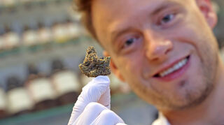 Alexander Daske, der das Labor und Cannabisabteilung der Apotheke leitet, zeigt eine getrocknete Jealousy-Blüte.