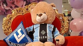 Ein Teddybär im Waldhof-Trikot: So macht das Rhein-Neckar-Zentrum in Viernheim Werbung für eine Autogrammstunde am Donnerstag.