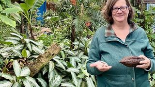 Ute Rieckmann zeigt im Pflanzenschauhaus des Mannheimer Luisenparks eine Kakaofrucht und deren Samen.