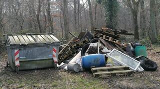Erschreckend, was alles im Wald weggeworfen wird.