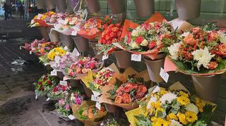 Bei Oranje Blumen werden zum Valentinstag rund 1000 Sträuße gebunden.