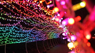 In Tunnel aus winzigen bunten Lichtlein – einer der neuen Höhepunkte der „Winterlichter“ im Luisenpark.