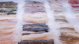 Frische Filets verschiedener Fische liegen in der Auslage einer Fischtheke. Vor der steht der Verbraucher heute immer öfter völlig ratlos.