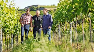 Das Führungsgremium der Winzergenossenschaft Vier Jahreszeiten: Vorstandsvorsitzender Martin Freund (v.l.), Geschäftsführender Vorstand Rüdiger Damian und der Technischer Betriebsleiter Volker Richter.