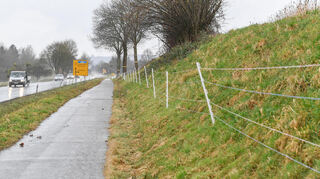 Wie hier in Fürth stehen überall Elektrozäune. Sie sollen die Afrikanische Schweinepest eindämmen.