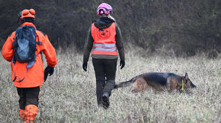 Kadaverspürhündin Ella ist im hessischen Ried mit Hundeführerin Dorothea Ulshöfer im Einsatz. Die speziell ausgebildeten Tiere sollen tote Wildschweine aufspüren, die möglicherweise mit der gefährlichen Afrikanischen Schweinepest infiziert sind.
