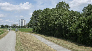 Hier, auf dieser von Bäumen beschatteten Fläche zwischen Altrheindamm und Biedensand-Bädern, soll ein Gelände entstehen, wo sich Lampertheimer Jugendliche treffen können.