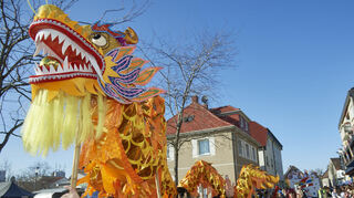 In der Bürstadter Innenstadt war viel los beim großen Fastnachtsumzug: Hier der chinesische Drachen des HCV Hofheim.