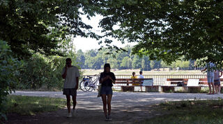 Unter anderem Zeit in der Natur tut gut.