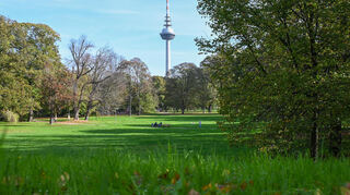Der Untere Luisenpark mit dem Fernmeldeturm bei warmen Temperaturen in Mannheim (Archivbild): Eine Gelegenheit, rauszugehen und sich zu bewegen.