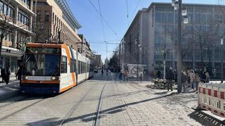 Die Planken in Mannheim am Donnerstagmittag, drei Tage nach der Amokfahrt: Viele kommen und legen an einem Baum am Paradeplatz Blumen nieder.