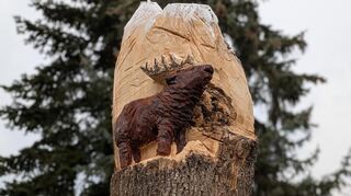 Der Geweihträger vor einem schneebedeckten Gipfel röhrt in Ladenburgs Hirschberger Allee als Pendant zum Wandersmensch.