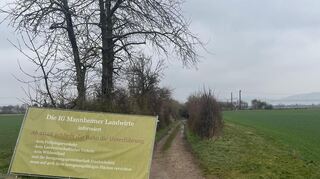 Zufahrt von Süden zur Unterführung Riedweg: Die stark landwirtschaftlich genutzte Bahnunterquerung (im Hintergrund ist die Trasse erkennbar) soll geschlossen werden.