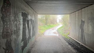 Der Tunnel dient auch als Wildwechsel und als Nistplatz für Fledermäuse.