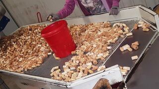 Bei der Diakonie Kork werden Korken fachgerecht wiederaufbereitet und weiter verwendet. Abgeben kann man die Korken unter anderem in Hirschberg.