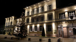 Das Schloss in Neckarhausen auf einem Bild aus dem Jahr 2020. Während der Earth Hour bleiben die Lichter aus.