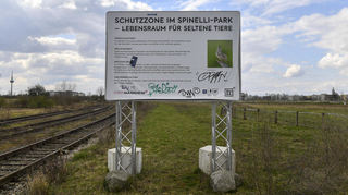 Teilweise sind sie schon beschmiert oder abgerissen: Diese Schilder sagen derzeit, was man im Spinelli-Park in Mannheim darf. Nun wird eine genauere Satzung erlassen.