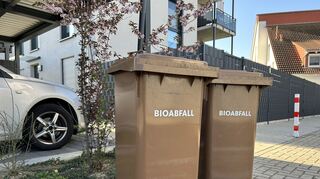 Am Freitagmorgen zur Leerung hinausgestellte Biotonnen in Wallstadt.