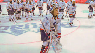 Die Adler haben das Halbfinale der Play-offs in der Deutschen Eishockey Liga (DEL) erreicht.