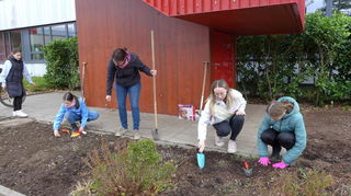 Die Sonnenbotschafterin der Stadt Bürstadt Charlotte I. pflanzt mit anderen Helferinnen Blumenzwiebeln ein.