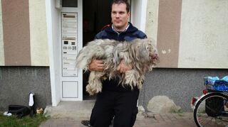 Michael Sehr von der Tierrettung Rhein-Neckar trägt einen verletzten Hund aus einem Haus. Die Stadt Mannheim hat den Vertrag für Tiertransporte mit ihm nicht verlängert, was vielfach auf Kritik stößt.
