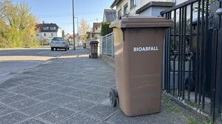 Biotonnen in Wallstadt. Ab Montag können sie wieder wöchentlich zur Leerung rausgestellt werden.