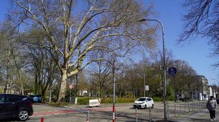 An der künftigen Haltestelle am Rudi-Baerwind-Platz in der Seckenheimer Landstraße wird der Radfahrstreifen in Richtung Innenstadt für den Bus durch eine gestrichelte Linie unterbrochen.
