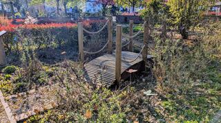 In den Augen einiger Friedhofsbesucher wirken Anlagen wie etwa das Schmetterlingsgrabfeld beinahe verwahrlost, weshalb die Pflege neu vergeben werden soll.
