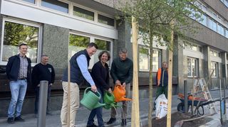 Gießen nach getaner Arbeit den neu gepflanzten Baum: v.l. Maximilian Brinker (Leitung Grün- und Freiflächen im Bereich Planung und Bau des Stadtraumservice), Diana Pretzell (Umweltdezernentin), Markus Roeingh (Leiter Stadtraumservice).
