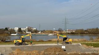 Die Vorarbeiten zum Bau der Neckarbrücke bei Ladenburg und Neckarhausen haben im Februar 2025 begonnen. Zwei Bagger markieren die Stelle, wo sie künftig über den Fluss führt.