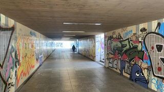 Die Unterführung zwischen Theresienkrankenhaus und Collinistraße wollen die Grünen auch schließen lassen, damit ein "Angstraum" verschwindet.