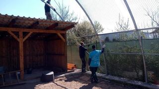 Die neue Kranichanlage im Vogelpark ist bald fertig.
