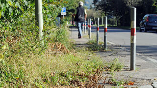 Von Grünpflanzen überwachsener Gehweg. Kommen sie aus einem privaten Garten und beeinträchtigen wie hier die Verkehrssicherheit, muss der Eigentümer sie zurückschneiden. Sonst übernimmt das die Kommune.