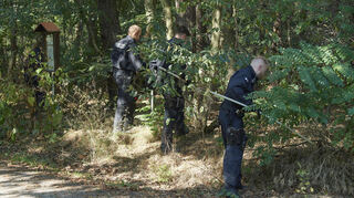 Mitte September sucht ein Polizeitrupp nach Spuren, nachdem eine getötete Frau im Lampertheimer Wald entdeckt wurde.