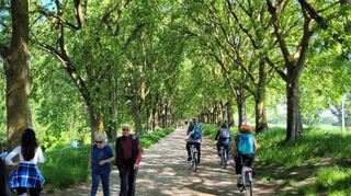 Ferrara gilt als Fahrradhochburg. Auf den Resten der alten Stadtmauer bewegen sich Fahrradfahrer und Fußgänger gleichermaßen fort.