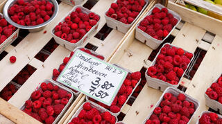 Auch Himbeeren sind bei deutschen Verbrauchern beliebt, werden aber hier kaum noch angebaut.