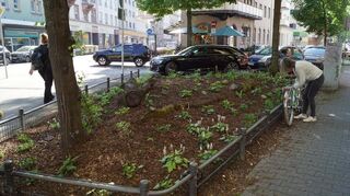 Ein Tiny Forest mitten im Stadtteil: Der ADG-Platz in der Schwetzingerstadt spendet an sonnigen Tagen ein bisschen Schatten.
