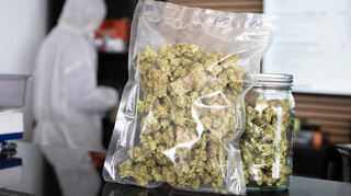 Verpackte Marihuana-Blüten, fotografiert im Cannabis Social Club Rhoihesse. Die Anbauvereinigung bezieht ihr Gras aus eigener Anzucht und gibt es ausschließlich an Mitglieder ab.