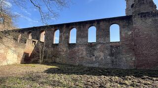 Teilweise sind an den Mauern noch typische Putze aus salischer Zeit zu erkennen. Und das obwohl es in den Jahrhunderte immer wieder zu Zerstörungen kam.