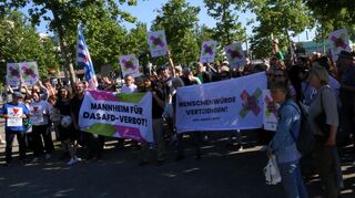 Am vergangenen Wochenende demonstrierten etwa 200 Menschen in Mannheim für ein Verbot der AfD.