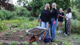 Rund 50 Studentinnen und Studenten halfen ehrenamtlich bei der Begrünungsaktion nahe dem Neuen Meßplatz – bis in die Abendstunden.