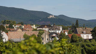Das Hambacher Schloss gilt als Wiege der Demokratie und steht in Neustadt an der Weinstraße. Zum Rheinland-Pfalz-Tag erwartet die Stadt bist zu 225.000 Besucher.