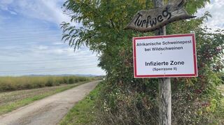 Der Turfweg verläuft zwischen den Mannheimer Stadtteilen Friedrichsfeld und Hochstätt. Meistens sind hier nicht besonders viele Menschen unterwegs.