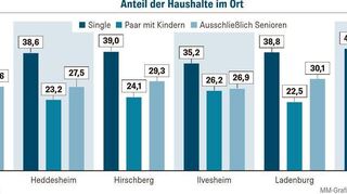 Die Grafik zeigt, welchen Anteil bestimmte Haushaltsformen in einer Stadt oder Gemeinde haben.