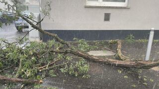 Auch in Viernheim richtete das Unwetter am Mittwochabend einige Schäden an, wie hier in der Rathausstraße.