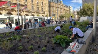 Der zusätzliche persönliche Beitrag des Local-Green-Deal-Teams zur nachhaltigen Stadtentwicklung: In ihrer Freizeit haben die Managerinnen und Manager die Grünfläche vor dem Rathaus neu bepflanzt.