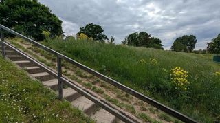 Diese Treppe führt auf den Neckardamm in Ilvesheim. Hier wird darauf geachtet, dass die Natur bei aller nötigen Pflege auch genug Freiraum bekommt.