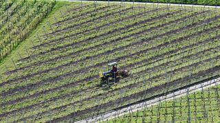 Ein Winzer bearbeitet in einem Weinberg mit einem Traktor den Boden. Weil es eine weltweite Überproduktion an Wein gibt, verdienen Fasswein-Winzer in Deutschland immer weniger mit ihren Erzeugnissen.