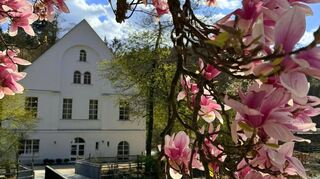 In der Talstraße 188, in Nachbarschaft zum Waldschwimmbad, findet sich das Raro im Mühlenhof.