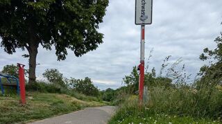 Viele Ilvesheimer Jugendliche nutzen den Weg, um nach Ladenburg zur Schule zu kommen.